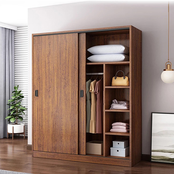 Tủ áo 2 cánh lùa màu nâu hiện đại TA55