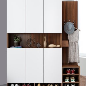Tủ giày đa năng hiện đại TG02