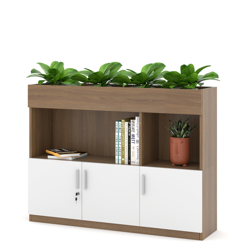 Tủ cây trang trí để hồ sơ TC2C12-426T