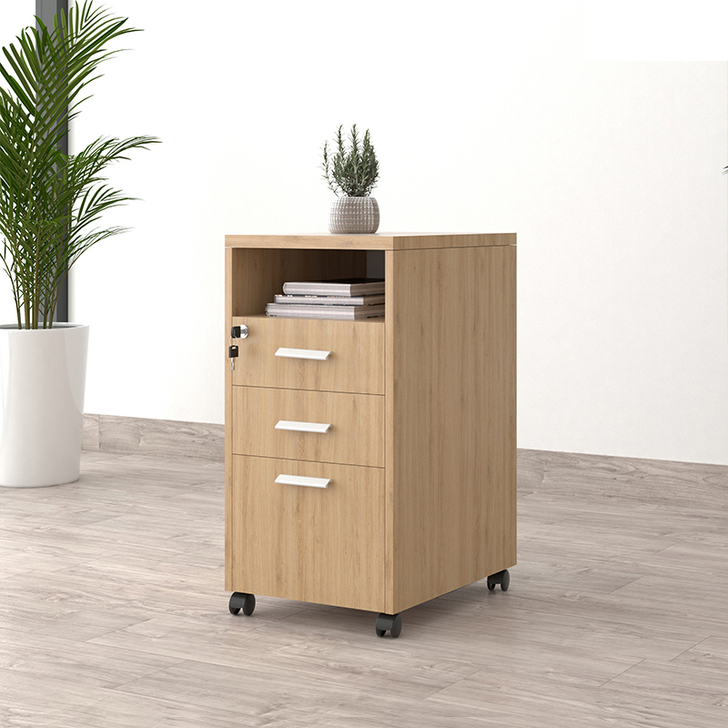 Tủ phụ đựng tài liệu di động TP12-N