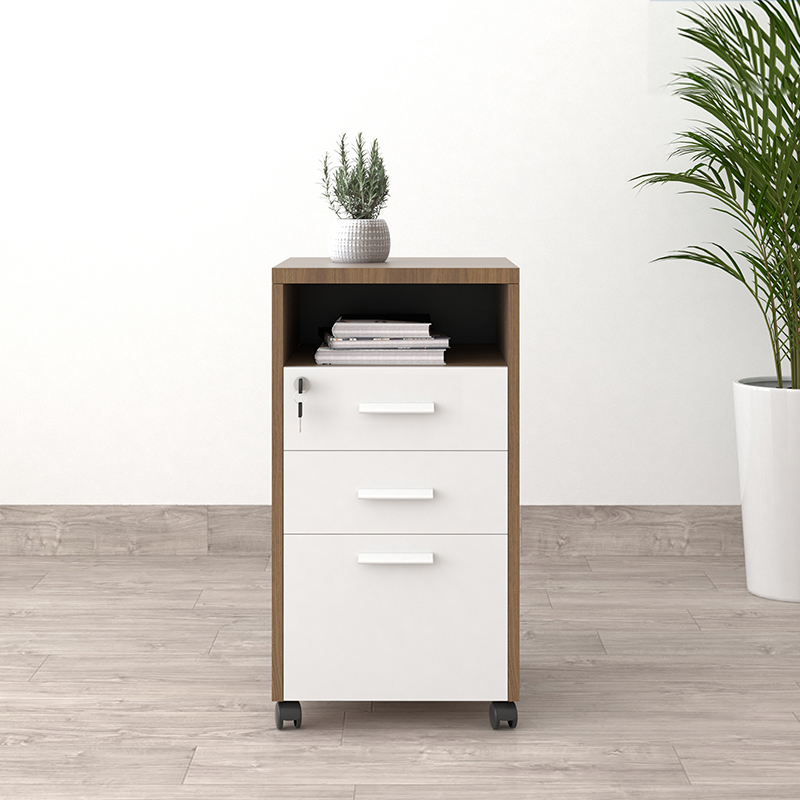 Tủ phụ di động máy in, tài liệu TP12