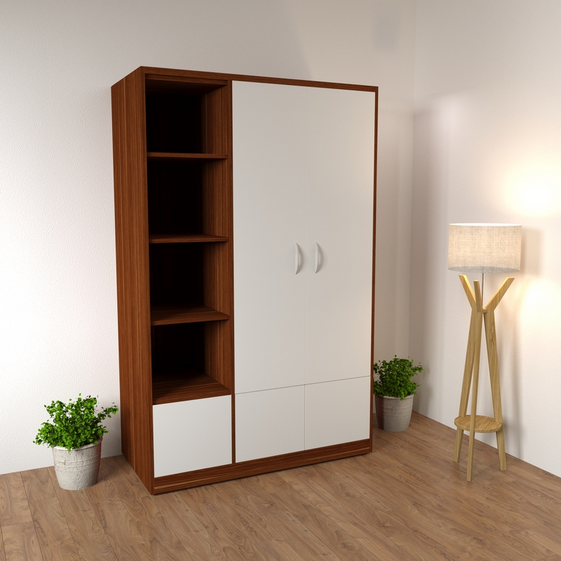 tủ quần áo 2 cánh ngăn chứa đồ màu 6041