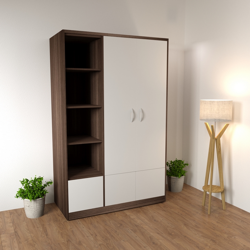 tủ quần áo 2 cánh ngăn chứa đồ màu 6089